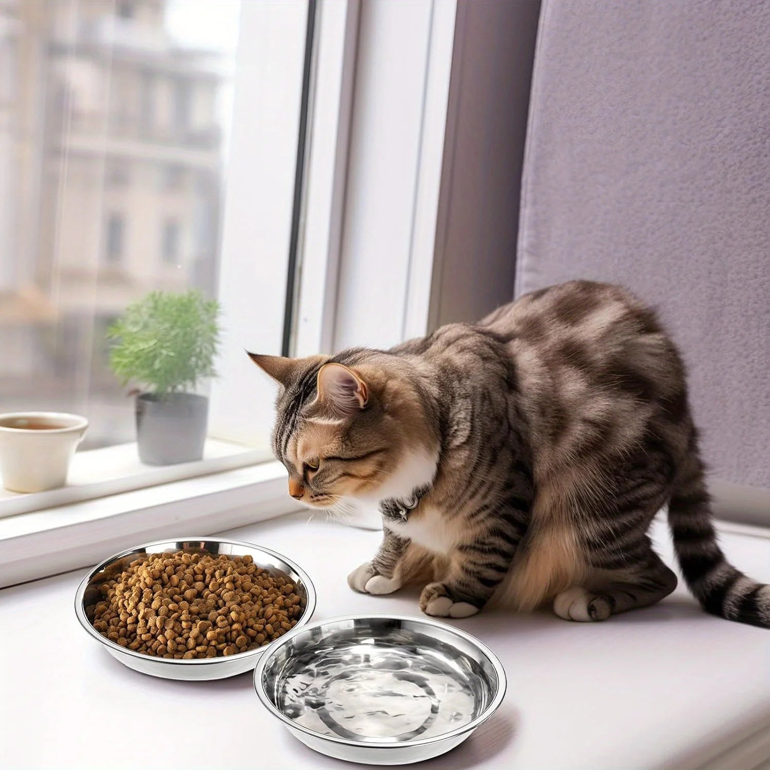 Slip-Resistant Stainless Steel Cat Bowl Set – Low-Profile Wide Design with Anti-Tip Base for Kittens & Small Pets