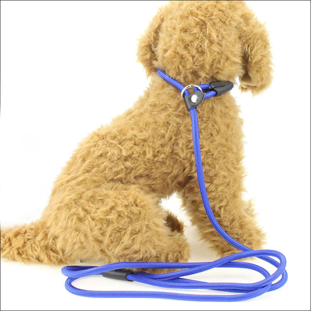 Slip Lead Dog Leash for Small Dogs – Anti-Choking P-Shaped Rope Leash for Puppy Training & Walking