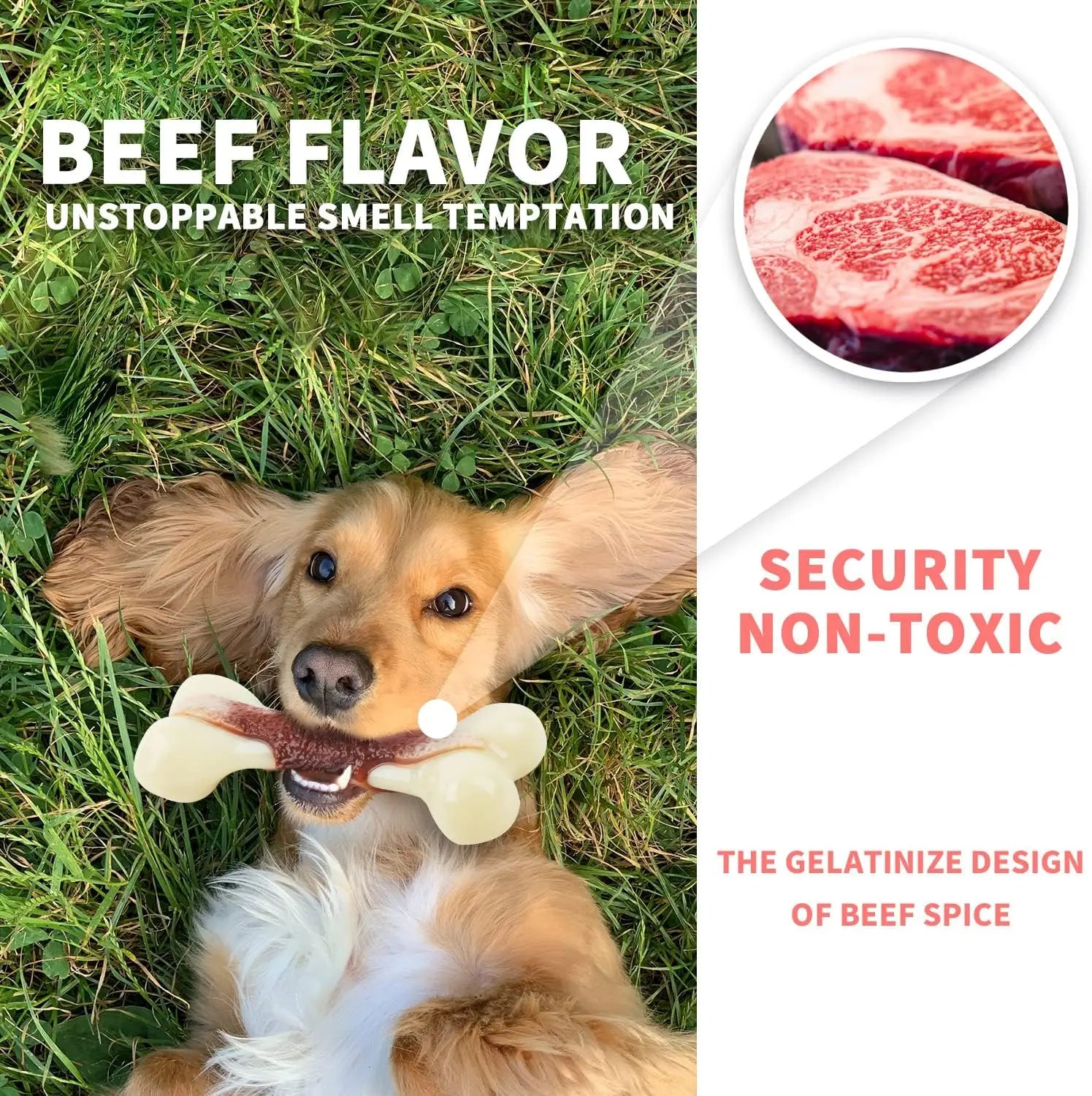 For Paws™ Nearly Indestructible Dog Bone – Beef-Flavored Nylon Chew Toy for Aggressive Chewers