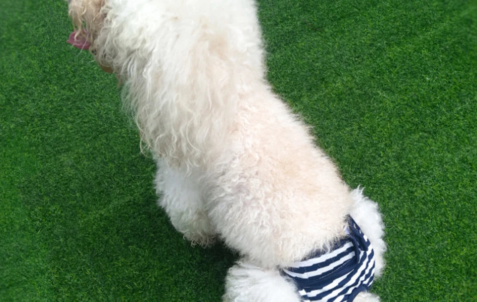 Washable Dog Diaper Shorts – Female Sanitary Panties for Menstruation