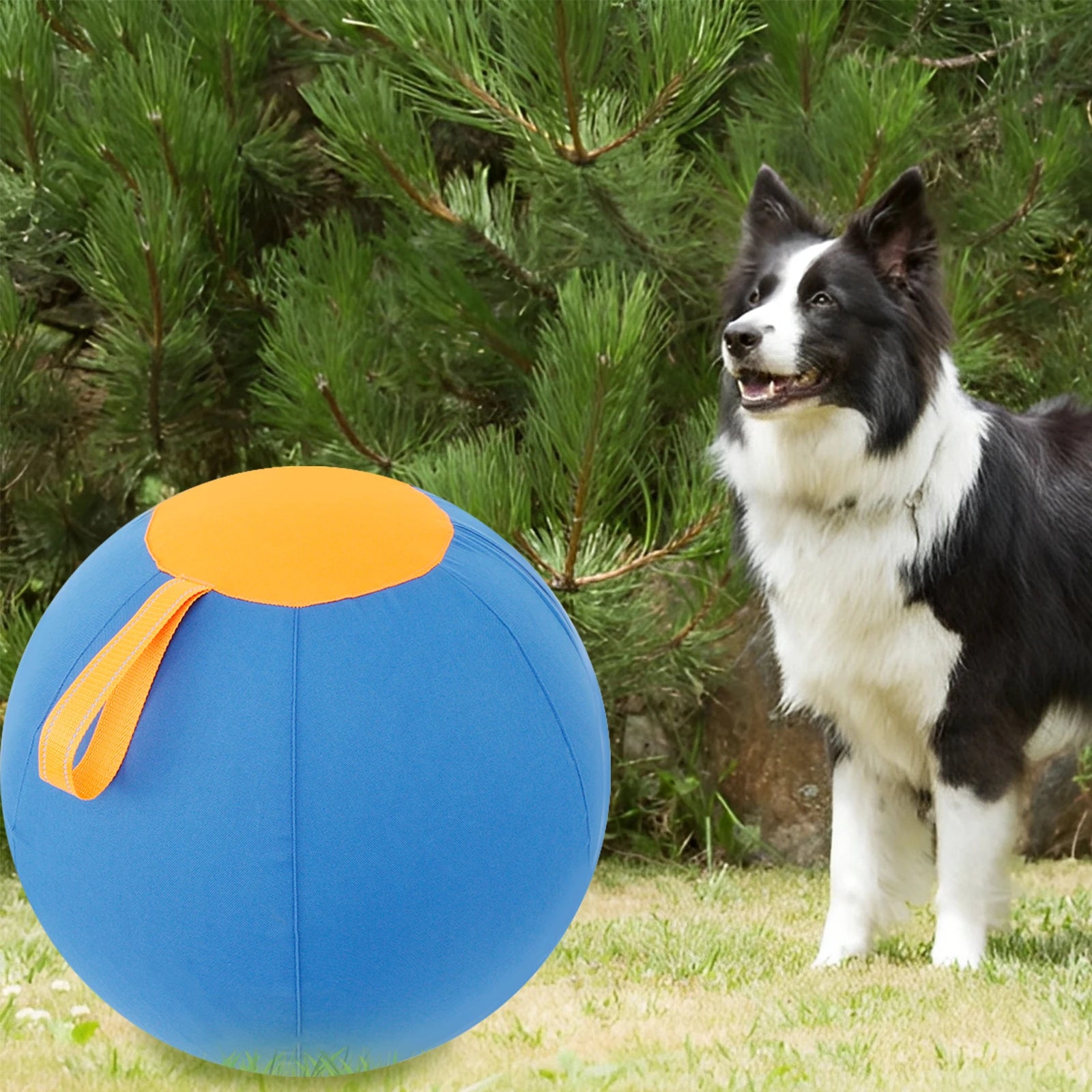 Durable Inflatable Herding Ball for Dogs – Outdoor Interactive Self-Play Training Toy for Active