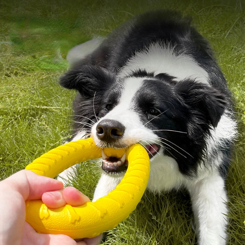 Dog Toys Pet Flying Discs / Training Ring