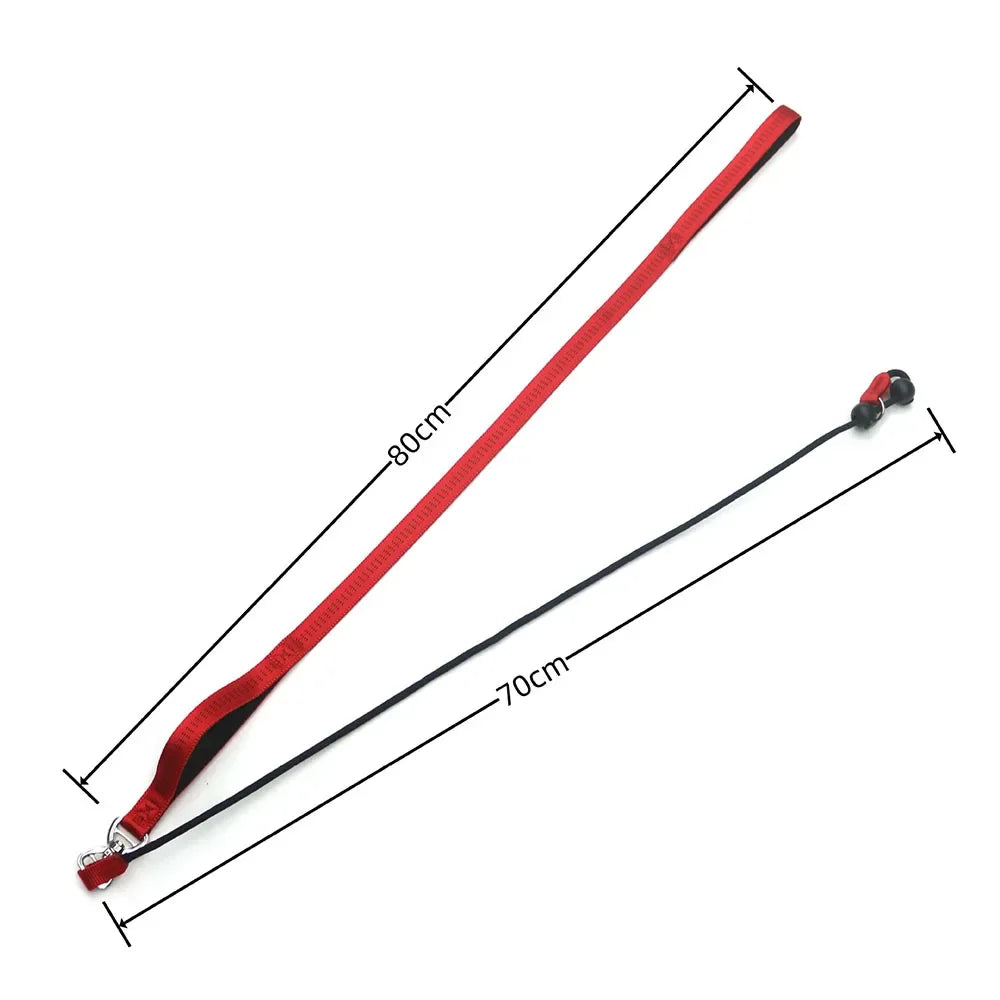 Dog Slip Lead Leash with Double Padded Handle – No Pull Training Lead with Choker Collar & Anti-Tangle Design