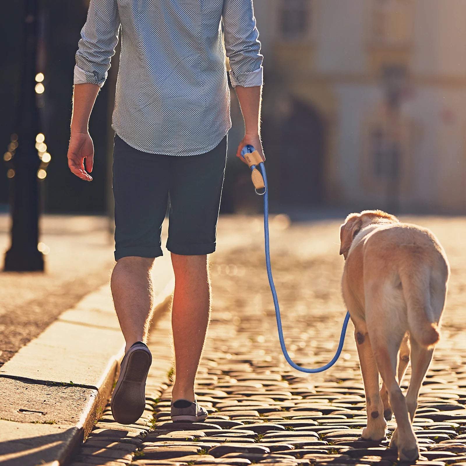 Adjustable Multi-Functional Dog Leash – Hands-free P-Chain Lead (2.1m/3m)