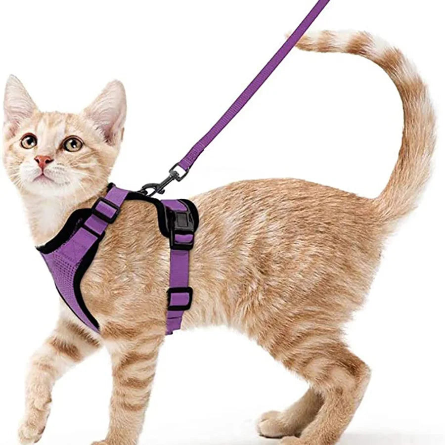 Cat Harness and Leash – Escape-Proof Soft Adjustable Vest with Easy Control