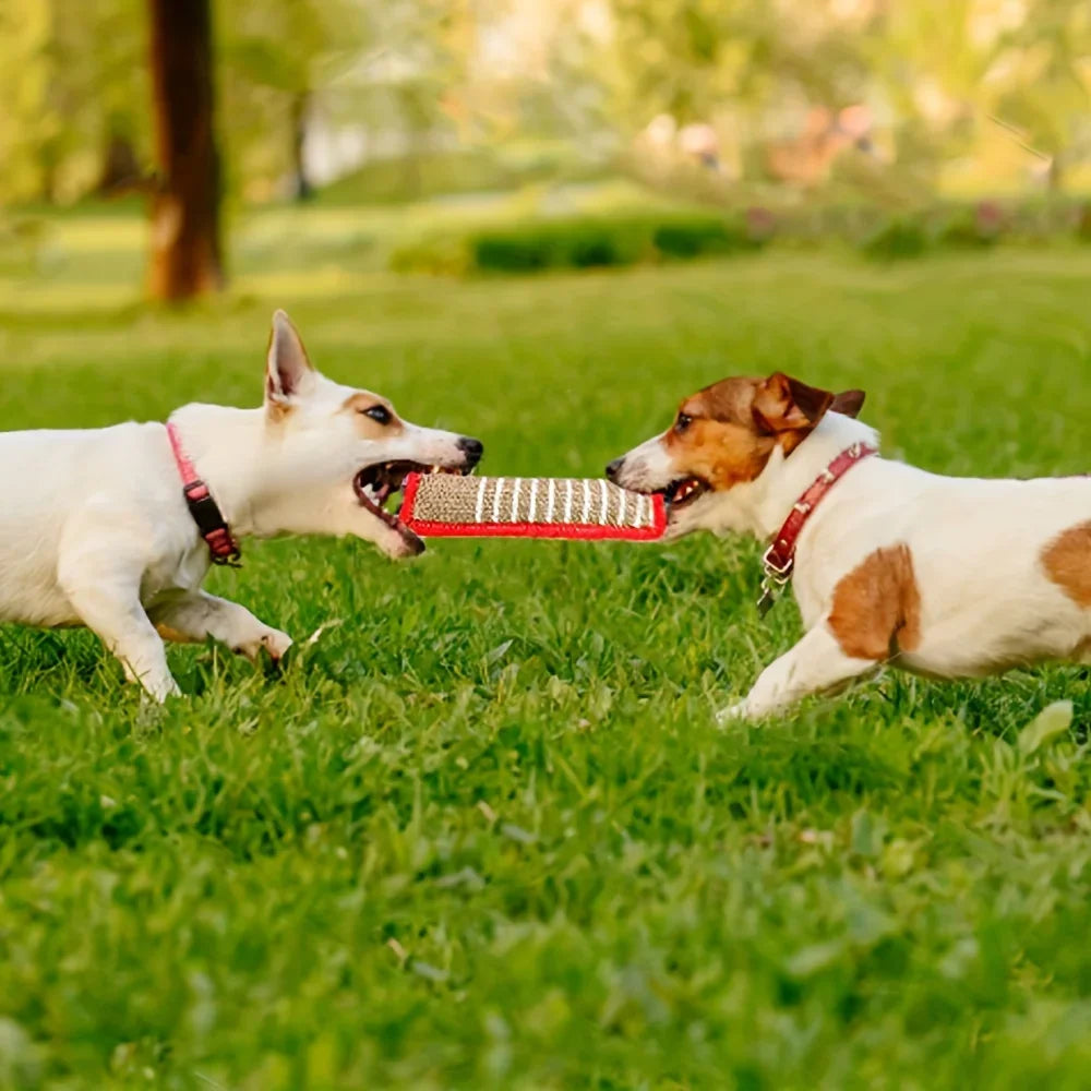 🦷 1Pc Durable Jute Dog Chew Toy – Bite-Resistant Teething Stick for Puppies & Adult Dogs 🐾💪