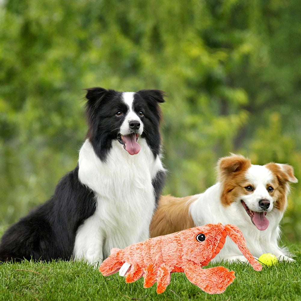 🦞 Floppy Lobster Interactive Dog Toy – Plush Squeaky Chew Toy for Medium Dogs