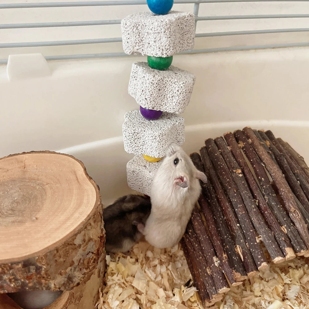 Volcanic Rock Chew Toy – Teeth Grinding Toy for Parrots & Hamsters