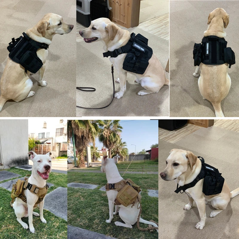 🐾 Tactical Military Dog Harness & Leash Set – All Breeds Training Vest for Outdoor Adventures