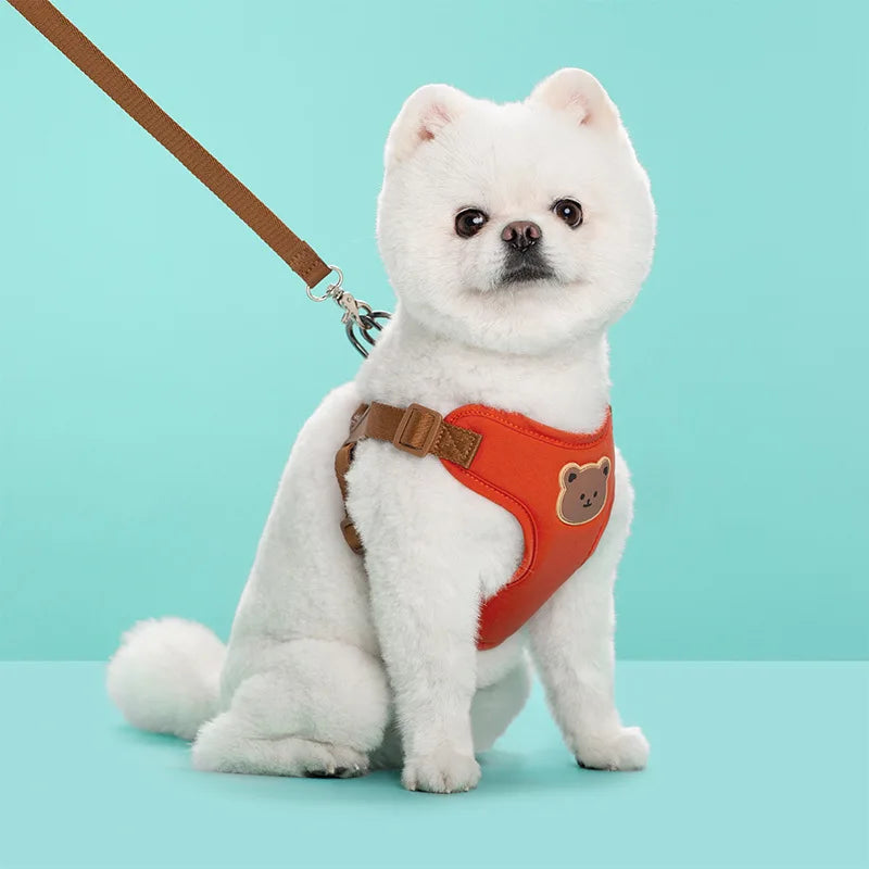 🐾 Breathable Pet Dog Harness & Leash Set – For Small & Medium Dogs & Cats