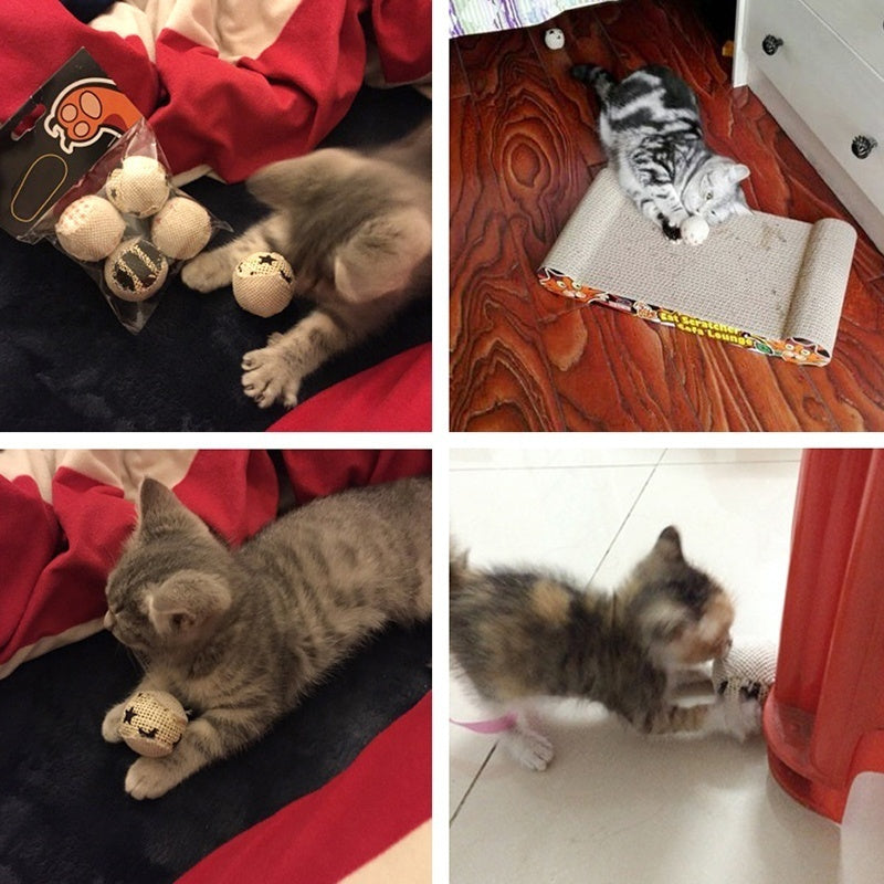 Interactive Cat Toy Ball – Rattle, Scratch & Chew Play Ball for Kitten Exercise (1 Pc, Style Random)