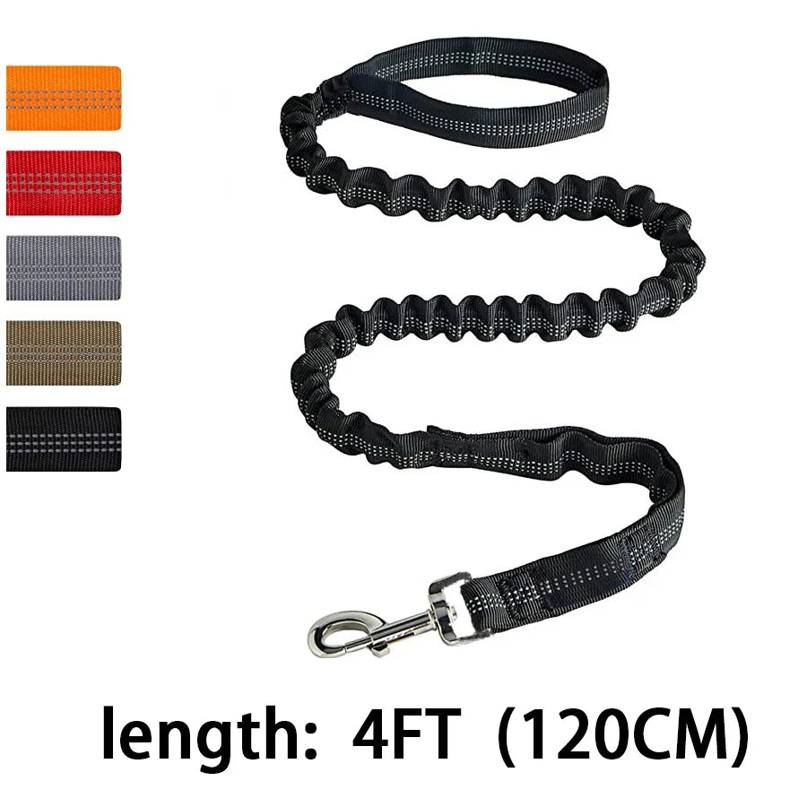 Bungee Dog Leash for Large Dogs – Heavy Duty, Shock-Absorbing, No-Pull Lead