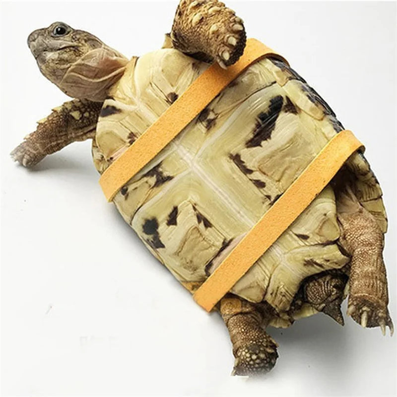 Adjustable Turtle Leash Harness – Outdoor Safety Traction Rope for Small Reptile Pets