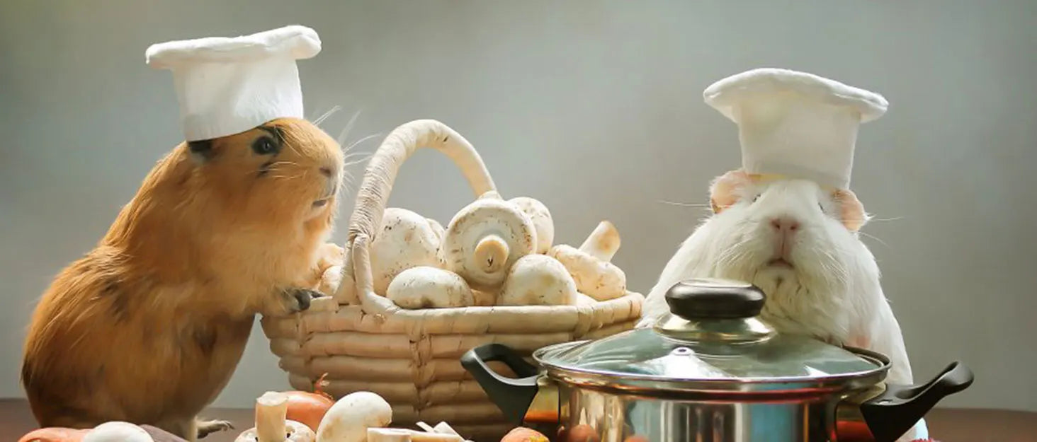 30×30cm Soft EVA Foam Pet Warming Pad – Small Animal Sleeping Mat for Guinea Pigs, Hamsters, Rabbits (1–10Pcs)