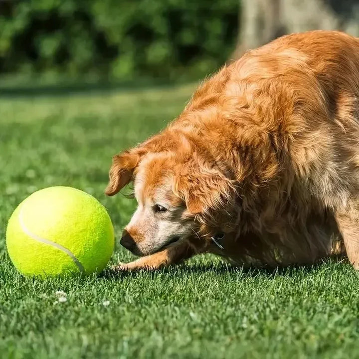 Giant Inflatable Tennis Ball for Dogs – 7"/9.5" Training Toy with Air Pump