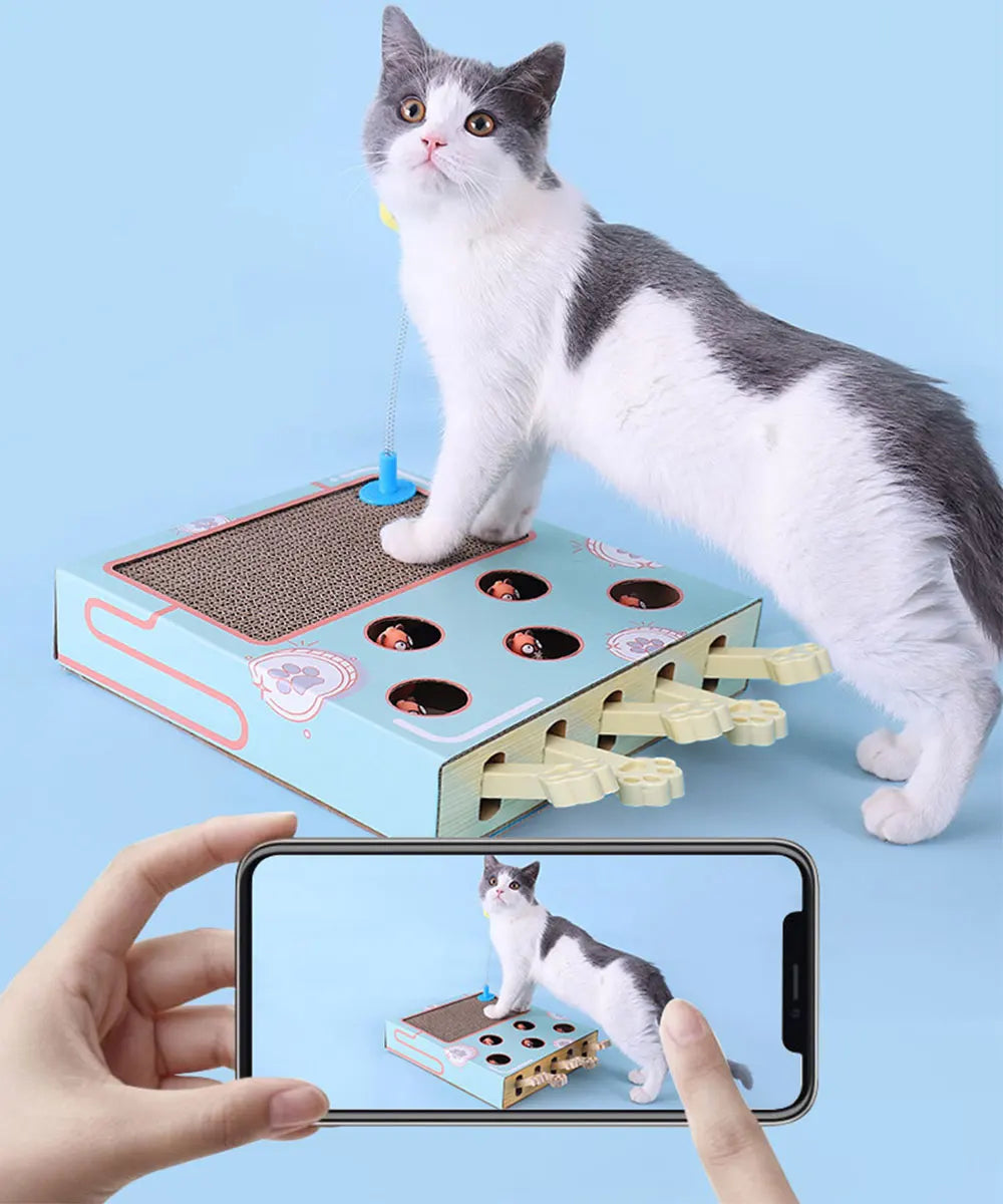 Whack-a-Mole Cat Toy – Interactive Scratching Board & Claw Grinder