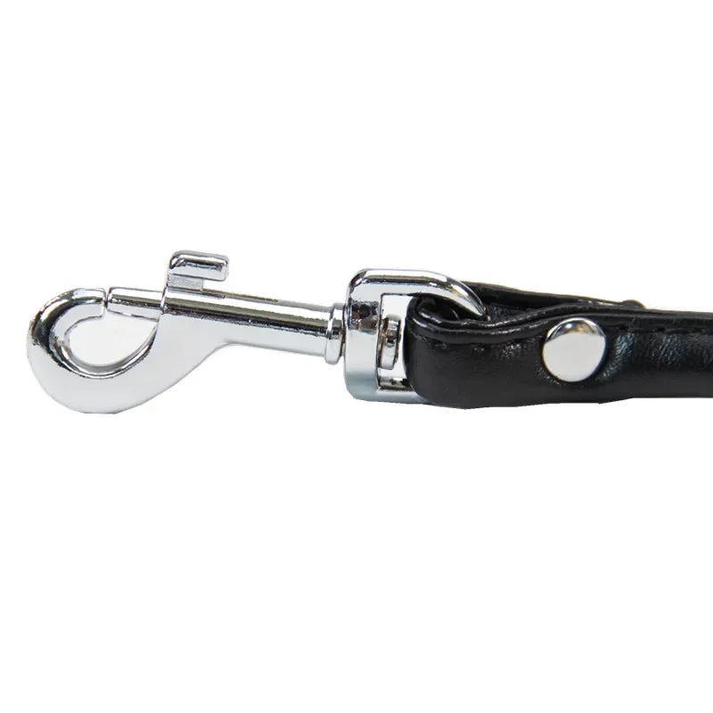 Soft PU Leather Dog Leash – 120cm Smooth Lead for Small Dogs & Puppies