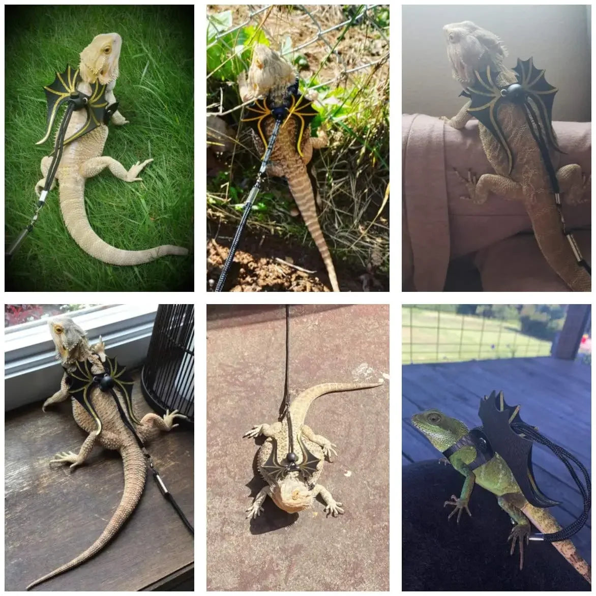 🦎 Bearded Dragon Lizard Leash Harness – 3 Sizes with Cute Dinosaur Wings