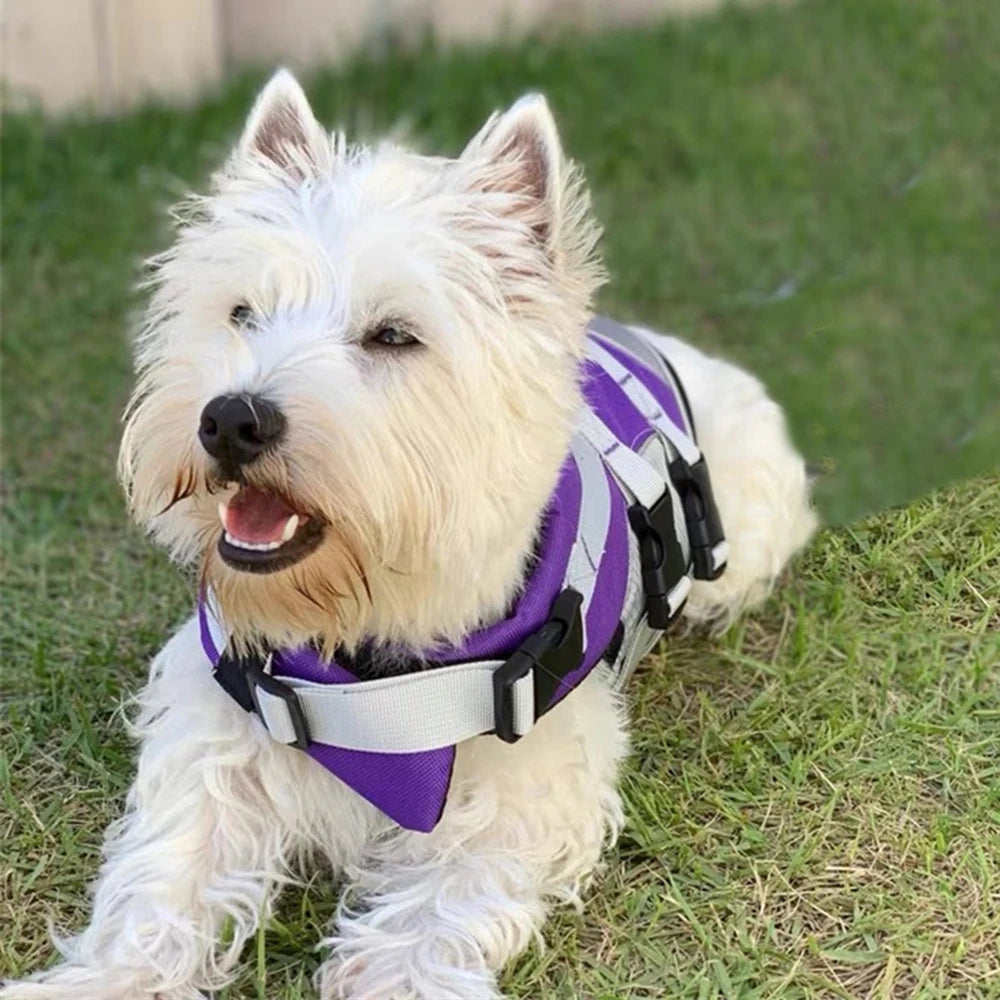 🐶 Dog Life Jacket with Handle & Pull Ring – Summer Safety Swimsuit for Small & Medium Dogs