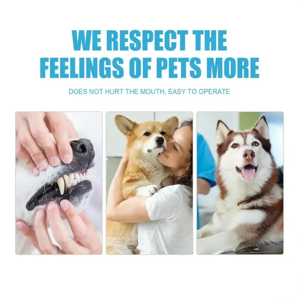 🪥 Cat Toothbrush – Soft Bristles for Gentle Teeth Cleaning | Pet Dental Care Grooming Tool