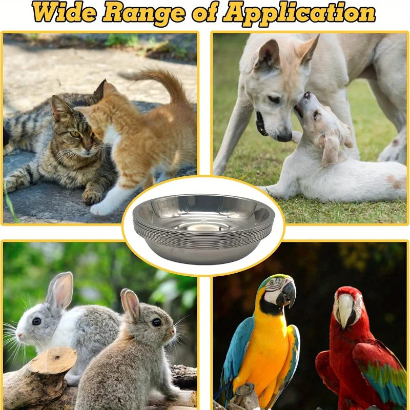 Slip-Resistant Stainless Steel Cat Bowl Set – Low-Profile Wide Design with Anti-Tip Base for Kittens & Small Pets