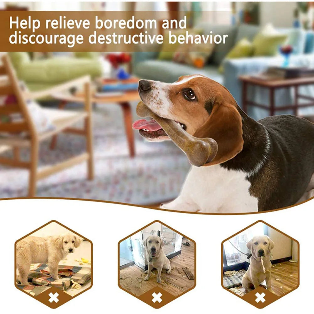 🦴 Dog Bone Chew Toy – Nearly Indestructible, Non-Toxic & Natural Dental Toy for All Dogs 💪🐾