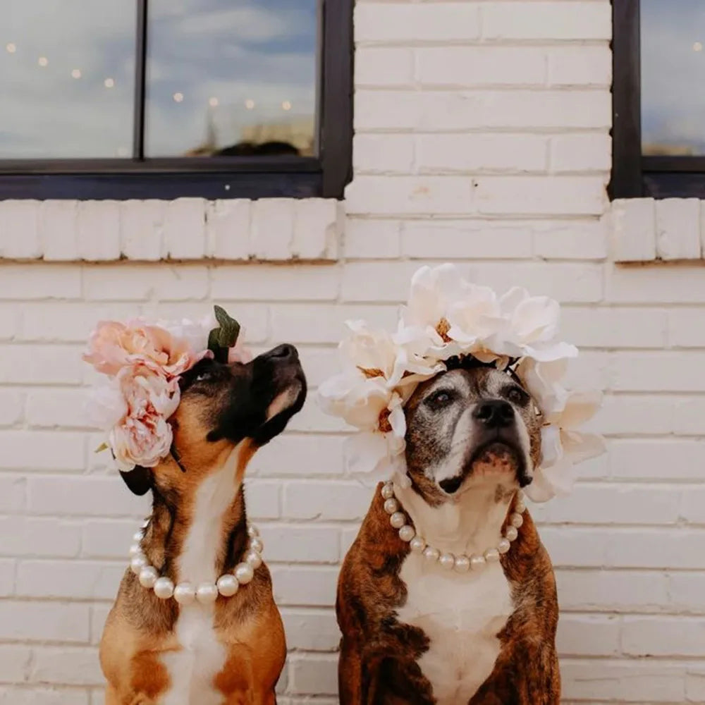 Elegant Imitation Pearl Pet Collar – Durable Decorative Necklace for Small Dogs & Cats