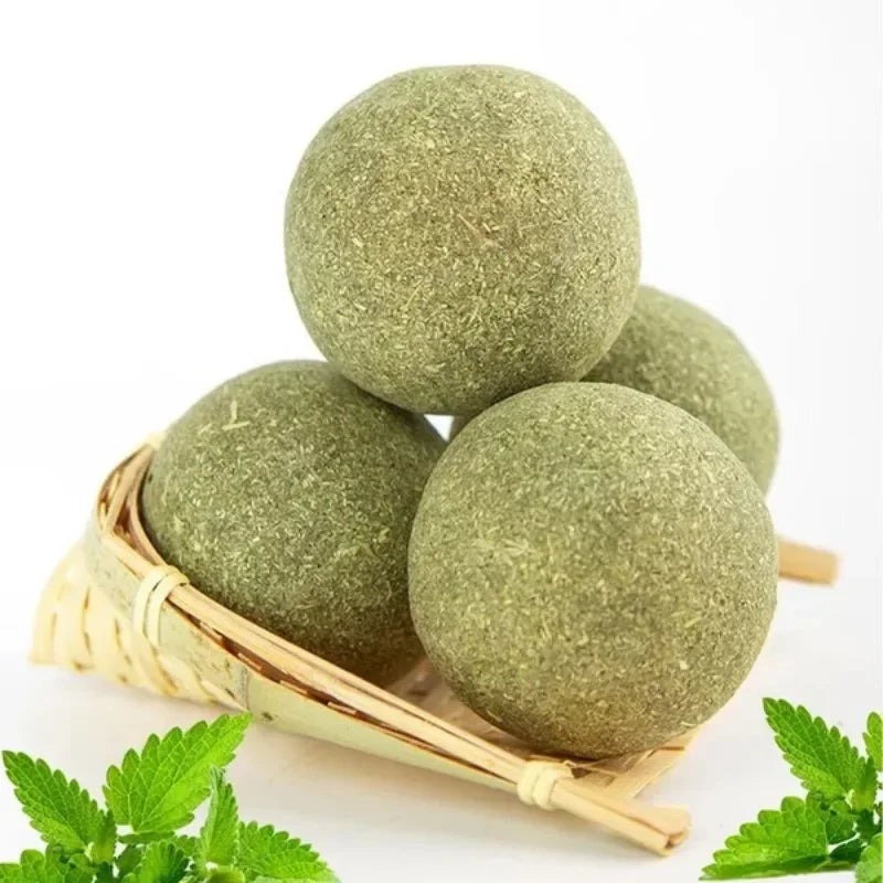 10pcs Natural Mint Catnip Balls – Healthy Toy & Snack for Cats