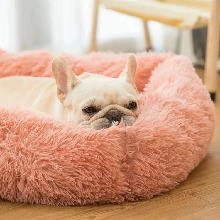 Winter Plush Rectangle Dog Bed – Warm Pet Sofa Mat for Small, Medium & Large Dogs & Cats