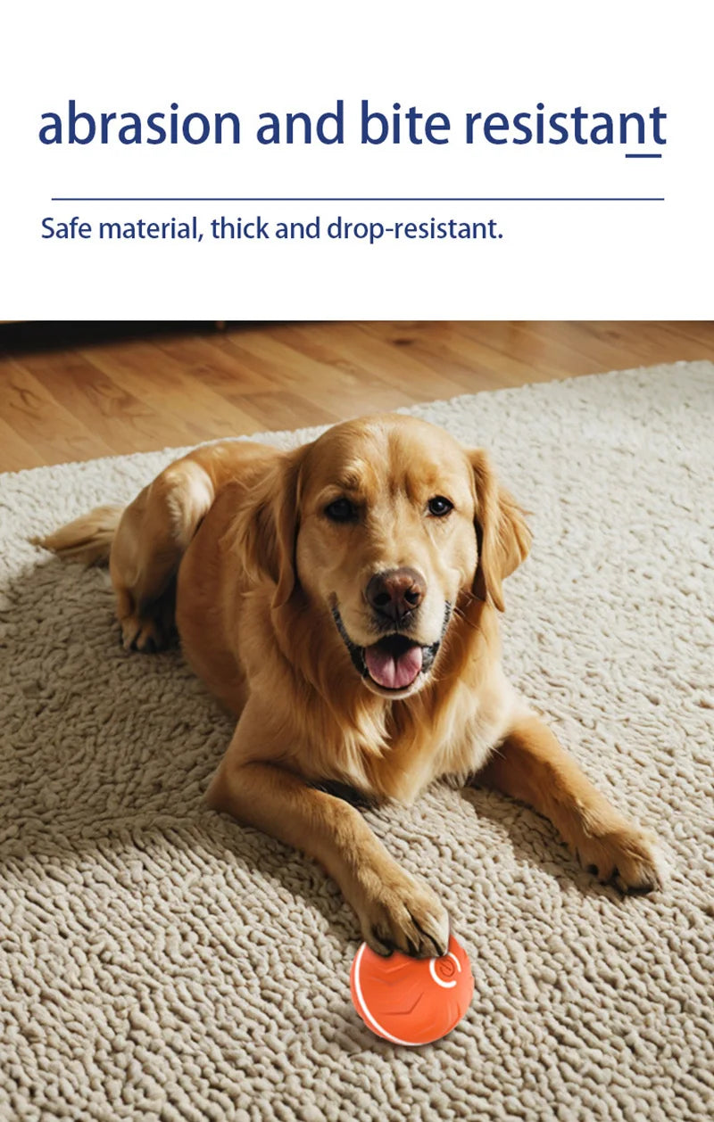 Xiaomi Smart Gravity Bounce Ball – Interactive Dog Toy Ball 🎾🐶