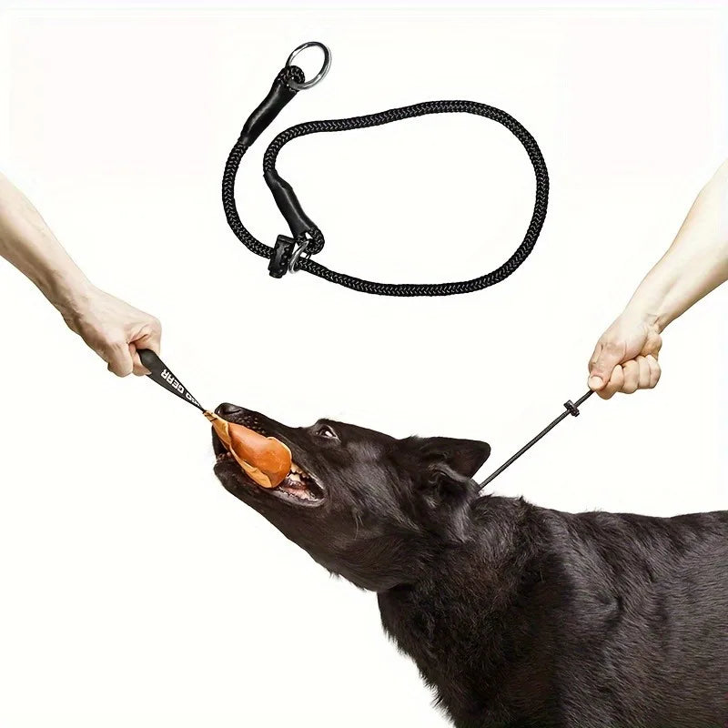 Polyester Dog Training Leash – Durable Adjustable Slip Loop Collar