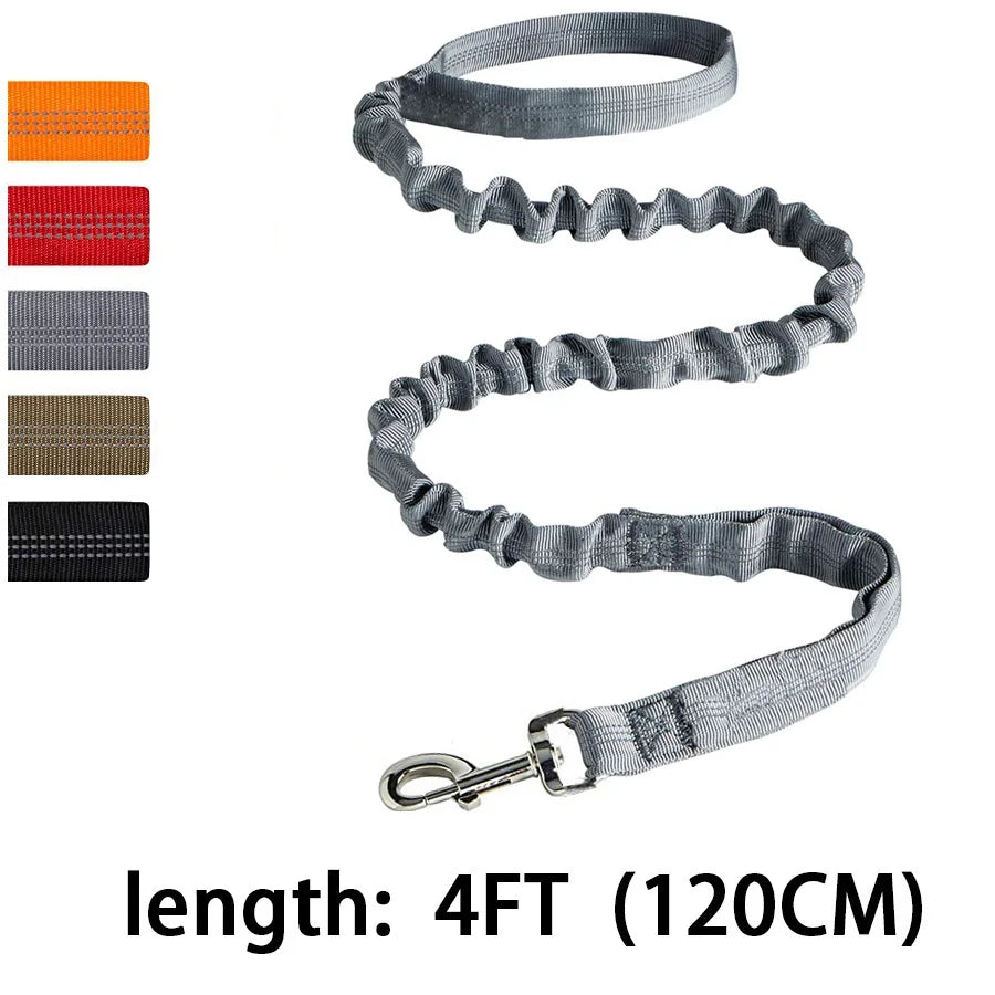 Bungee Dog Leash for Large Dogs – Heavy Duty, Shock-Absorbing, No-Pull Lead