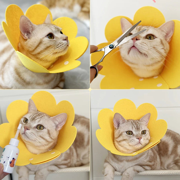 Pet Protective Collar Dog Neck Cone Recovery Cone Collar for Anti-Bite Lick Surgery Wound Healing Cat Dogs