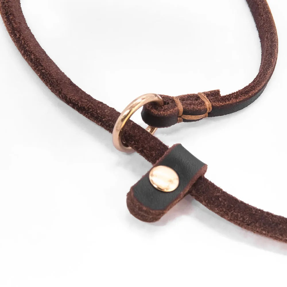 🐶 Soft Slim Genuine Leather Dog Slip Lead – No-Pull Training Control Leash for Small Dogs