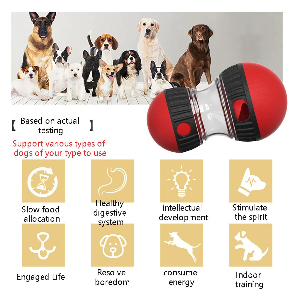 Interactive Dog Toy – Elliptical Track Rolling Ball Feeder for Mental Stimulation & Treat Dispensing