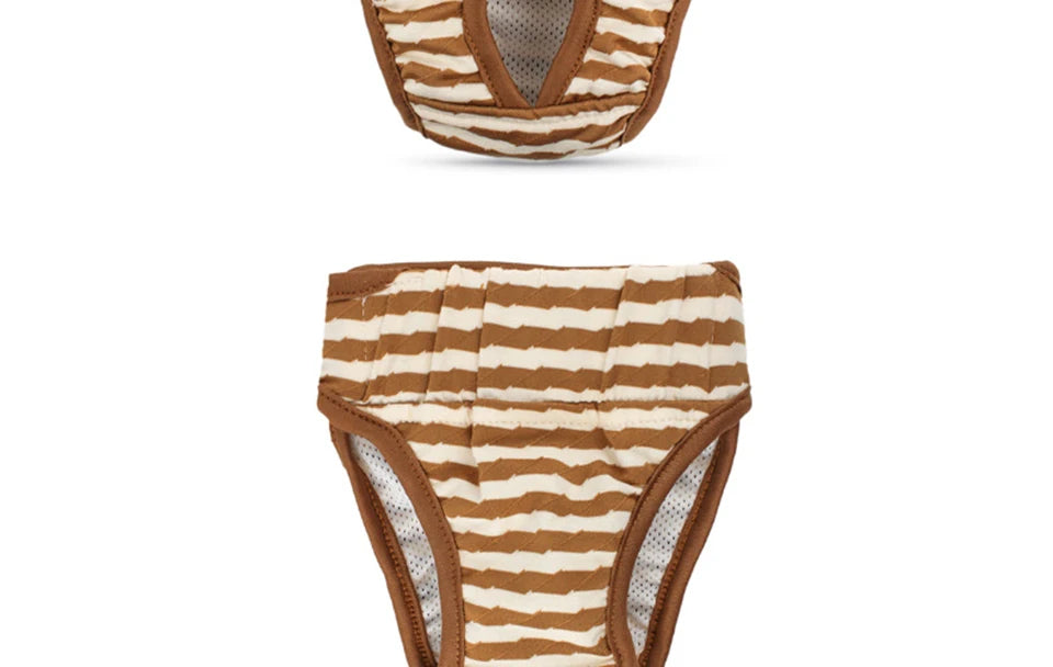 Washable Dog Diaper Shorts – Female Sanitary Panties for Menstruation