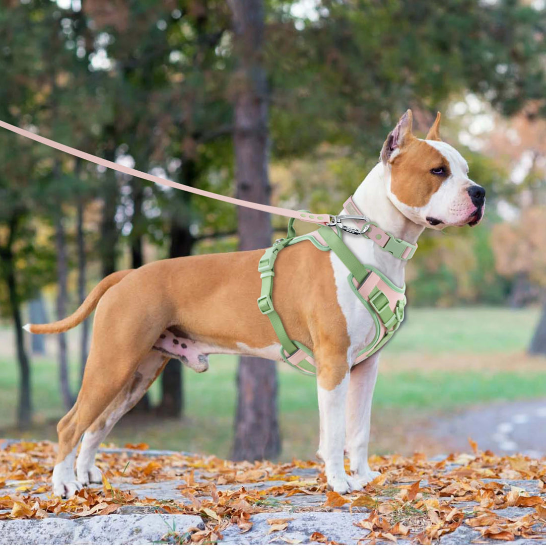 Splicing Color Dog Harness – No-Pull, Adjustable & Personalized