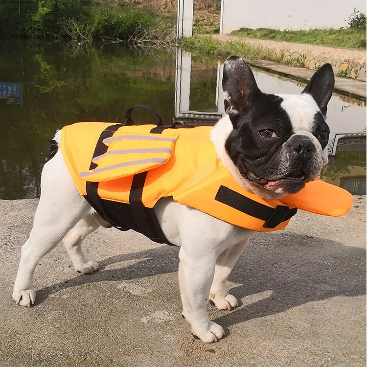 🐶 Dog Life Jacket – High Buoyancy Safety Vest with Rescue Handle (S/M/L)