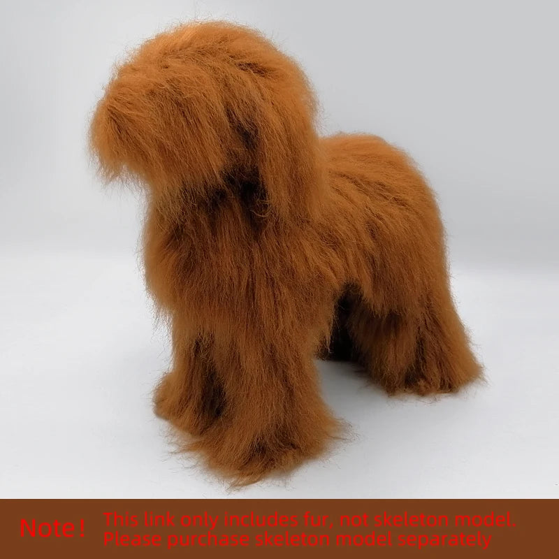 🐩 Pet Grooming Practice Model Dog – Full-Body Simulation Teddy with Realistic Synthetic Hair ✂️💇‍♀️