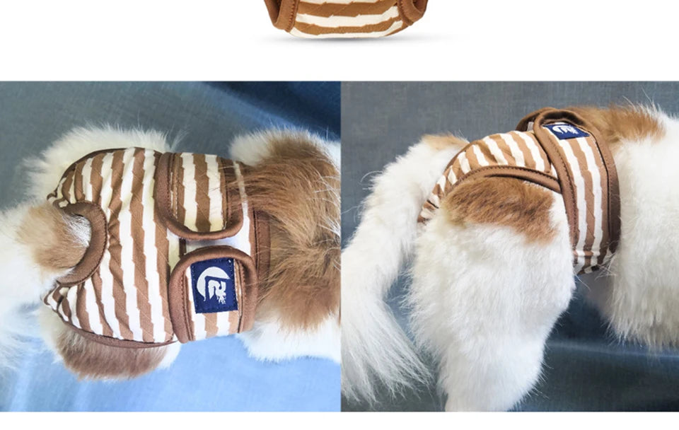 Washable Dog Diaper Shorts – Female Sanitary Panties for Menstruation