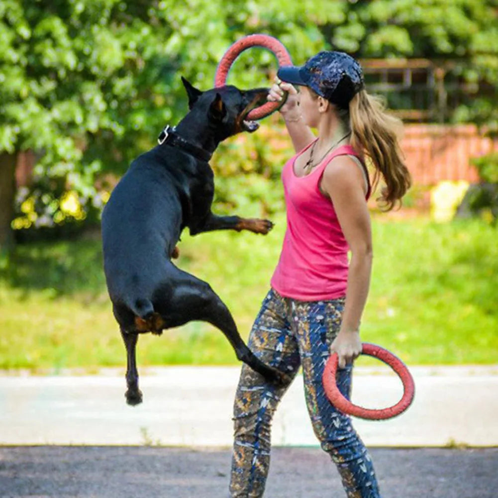 Floating Dog Training Ring – Chew-Resistant Water Toy for Small Dogs