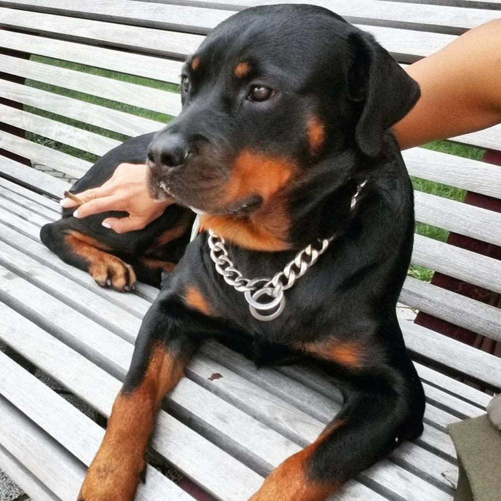 15MM Cuban Link Dog Chain Collar – Silvery/Golden Stainless Steel Training Slip Collar for Strong Dogs