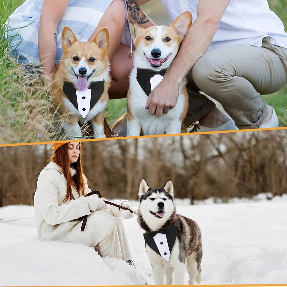Dog Tuxedo Suit with Bow Tie – Formal Wedding Outfit & Birthday Bandana Collar for Medium & Large Dogs