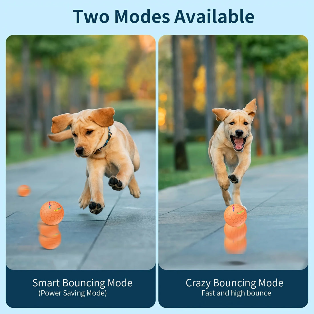 Smart Dog Toy Ball – USB Automatic Bouncing Rolling Ball with RGB Lights