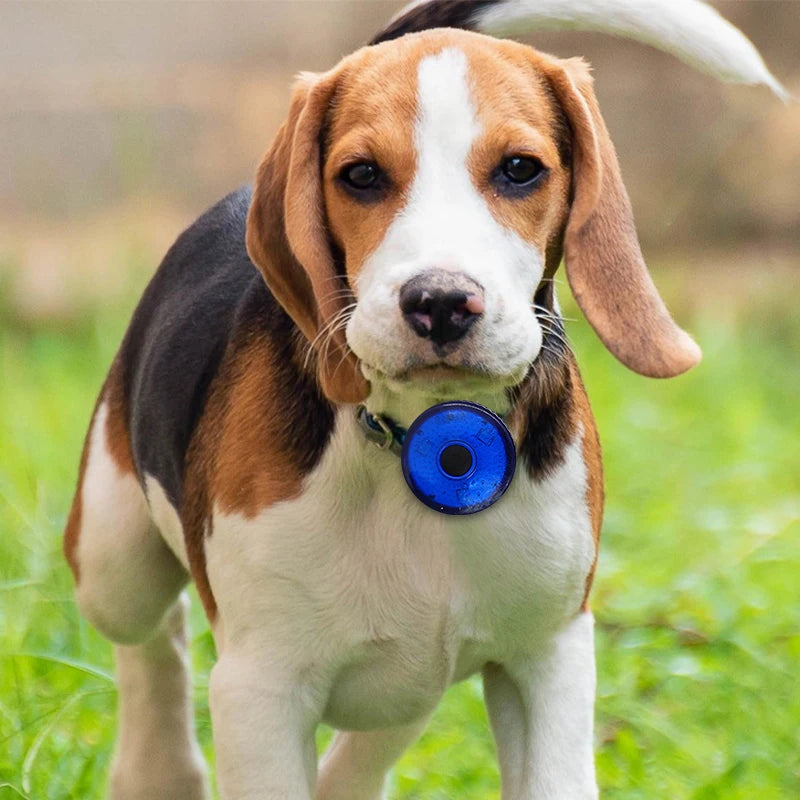 USB Rechargeable LED Pet Collar Pendant – Safety Light for Dogs & Cats, Night Walking Accessory