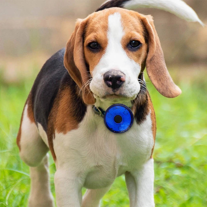 USB Rechargeable LED Pet Collar Pendant – Safety Light for Dogs & Cats, Night Walking Accessory