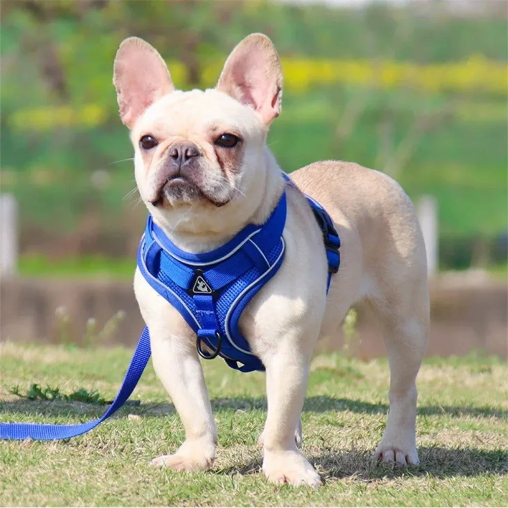 🐾 No Pull Dog Harness & Leash Set – Adjustable Reflective Vest for Small Dogs & Cats