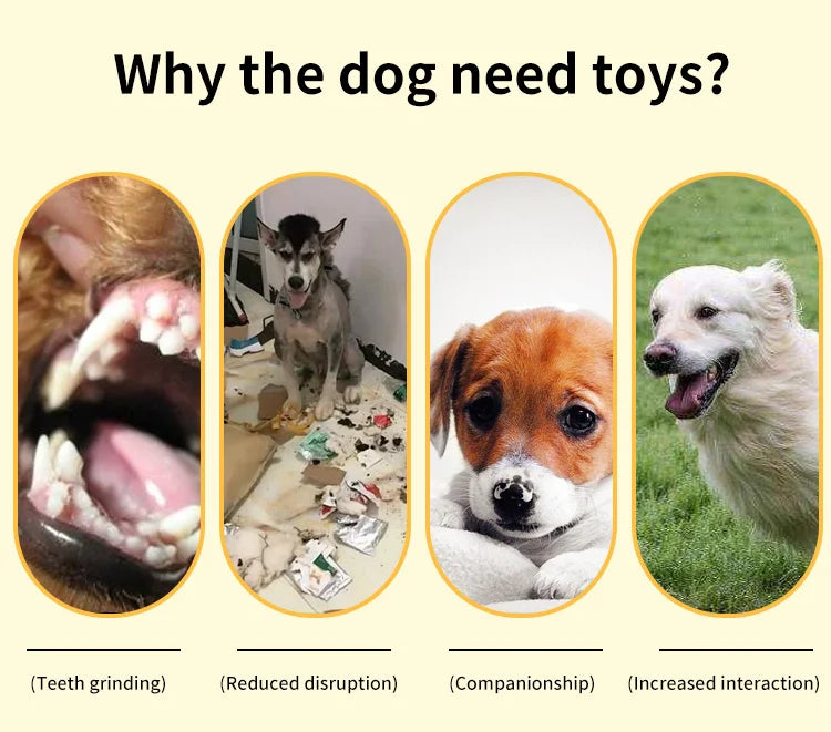 🐶 Plush Toys for Small Dogs – Squeaky Soft Ocean Series