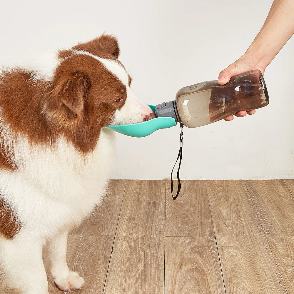💧 Portable Dog Water Bottle – Leak-Proof Pet Hydration for Outdoor Walks & Travel