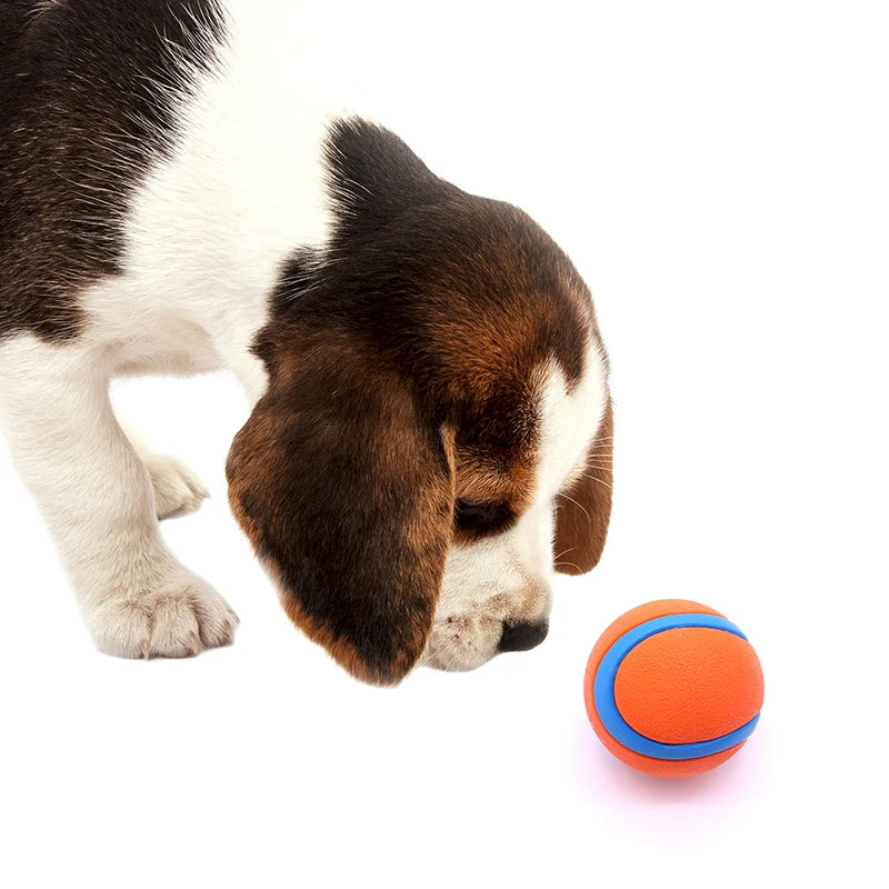 Tough Dog Fetch Ball – Solid Chew & Bouncy Play Toy ⚽🐾